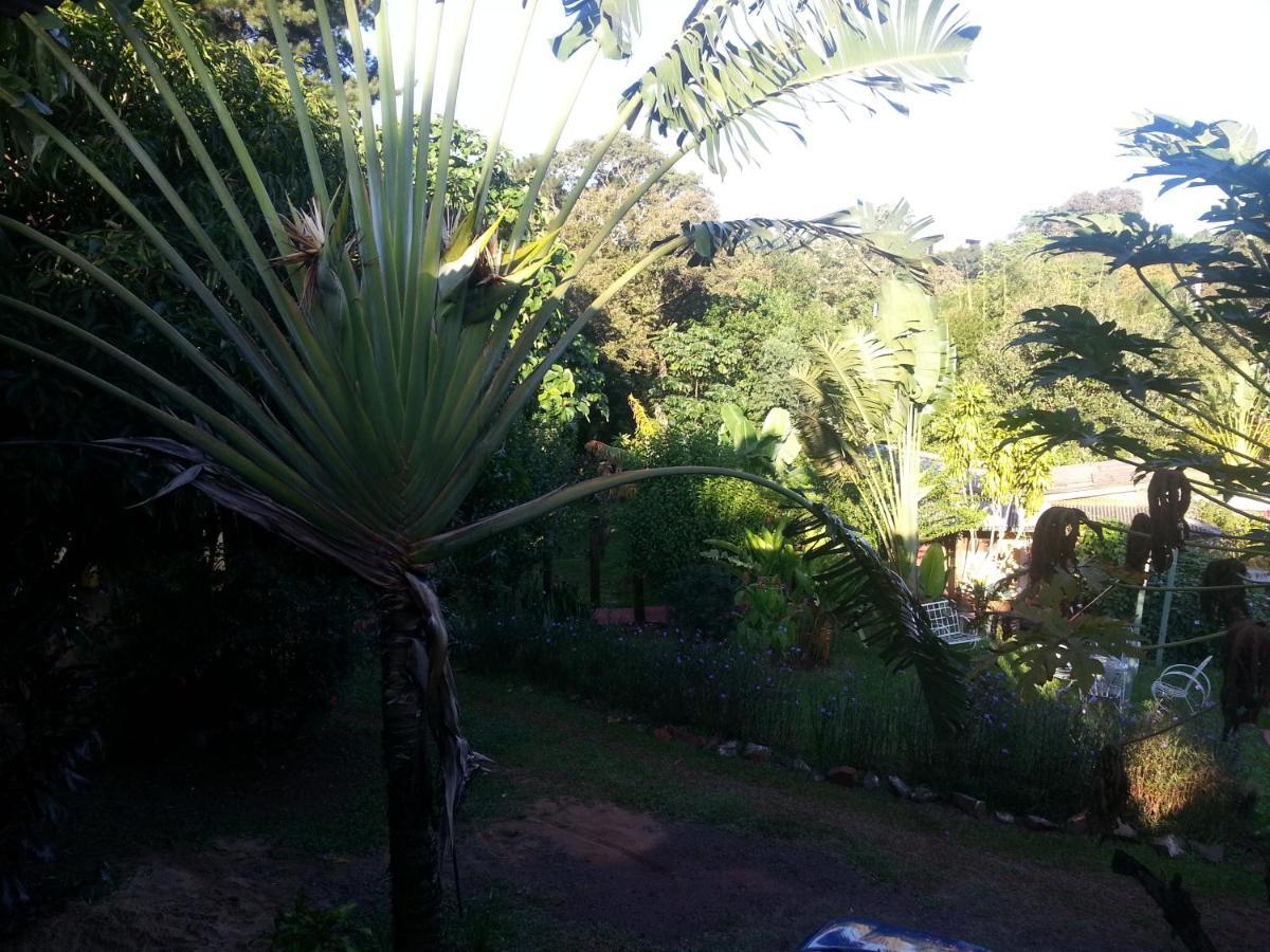 Hotel Los Amigos ปูแอร์โตอีกวาซู ภายนอก รูปภาพ