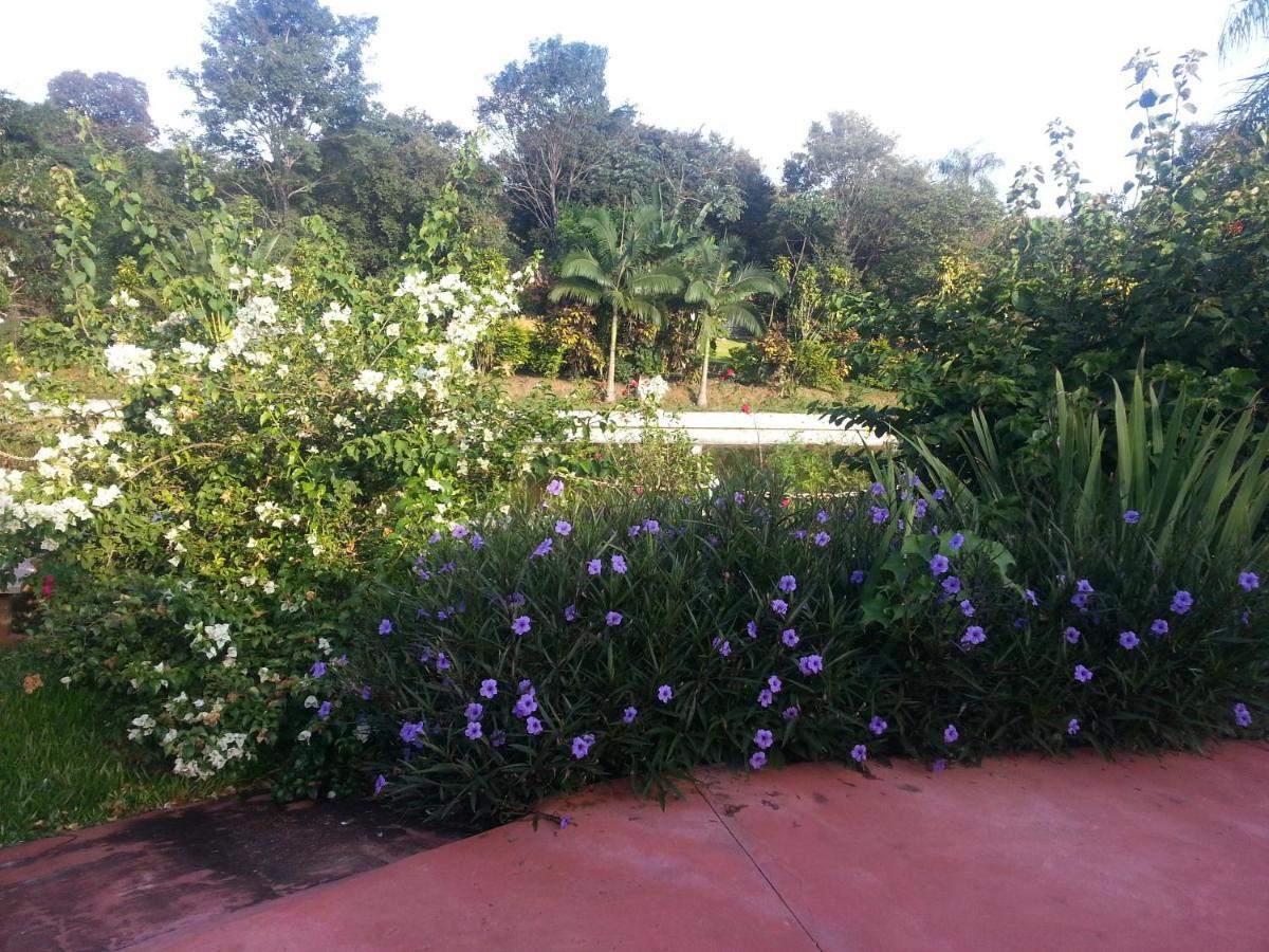 Hotel Los Amigos ปูแอร์โตอีกวาซู ภายนอก รูปภาพ