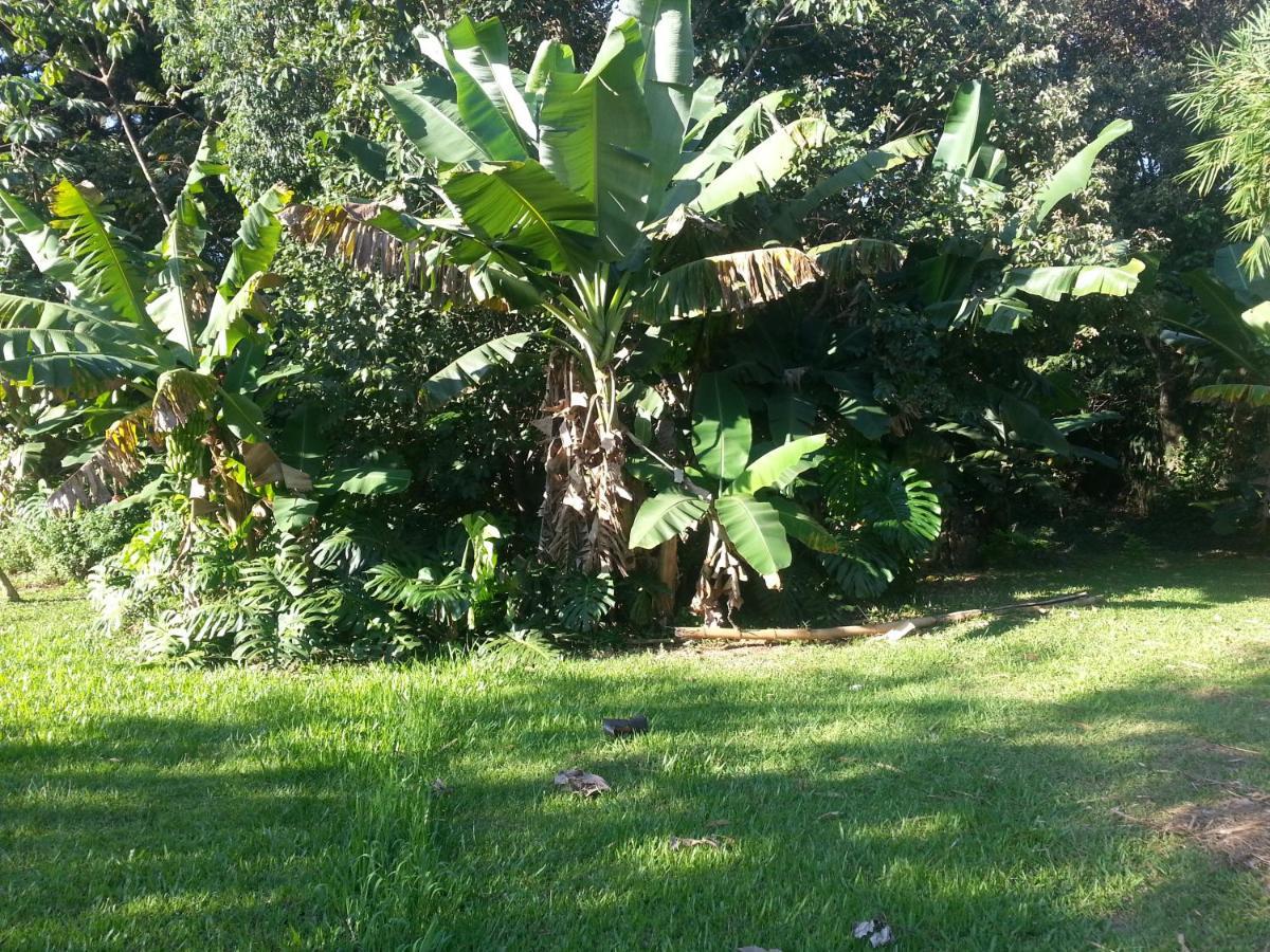 Hotel Los Amigos ปูแอร์โตอีกวาซู ภายนอก รูปภาพ