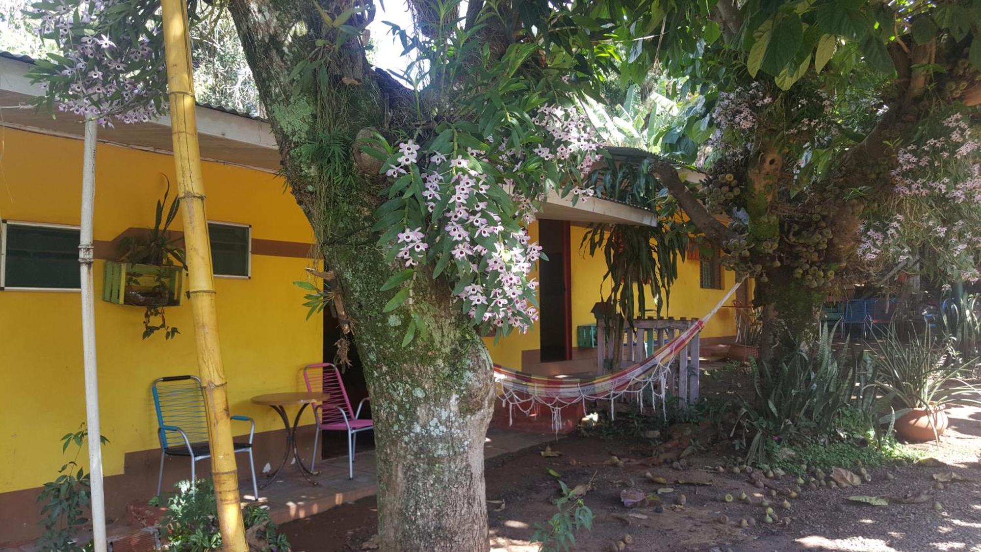 Hotel Los Amigos ปูแอร์โตอีกวาซู ภายนอก รูปภาพ